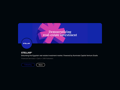 STELLAR* Branding 3d branding cover facebook graphic design instagram investment logo real estates ui