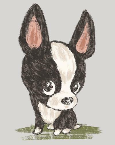 Boston terrier staring sideways animal character design dog illustration pet puppy