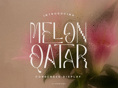 Melon Qatar Typeface design font fonts letteing typeface