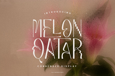 Melon Qatar Typeface design font fonts letteing typeface