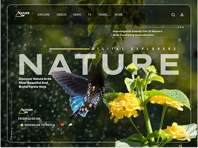 Nature TV 3d animation branding graphic design logo motion graphics ui