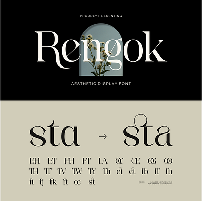 Rengok Aesthetic Display Font fashion