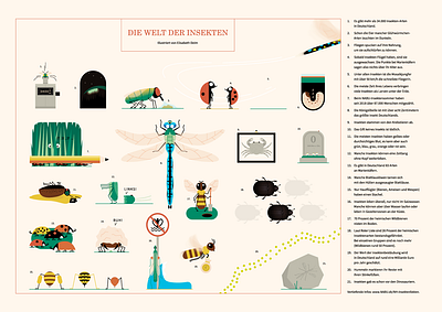 World of Insects - Illustrated Fact Poster illustration insects vector illustration