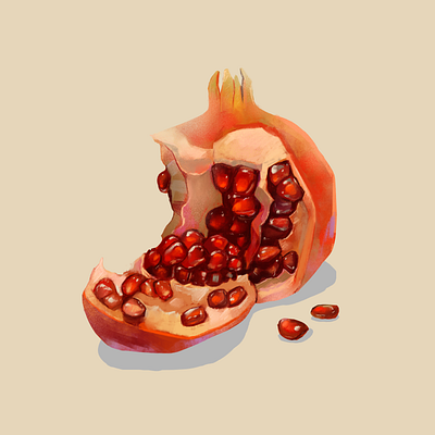 Pomegranate 2d digital digital art flat fruit illustration pomegranate procreate stilllife