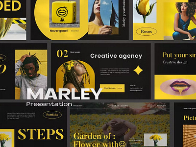 Marley Pitch Deck Design brand guides brand identity branding deck design illustrator photoshop pitch pitch deck pitch deck design