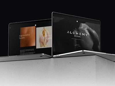 Alchemy Miami Website brand design branding health and wellness luxury miami web design web development website