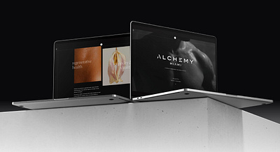 Alchemy Miami Website brand design branding health and wellness luxury miami web design web development website