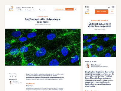 Institut Curie (pitch) - Article article health ui website