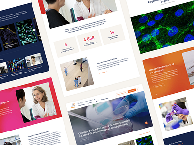 Institut Curie (pitch) - Display pages health ui website