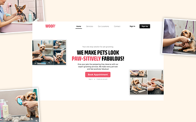 Hey there, here's a glimpse of my recent work pet grooming pet website ui web design website design