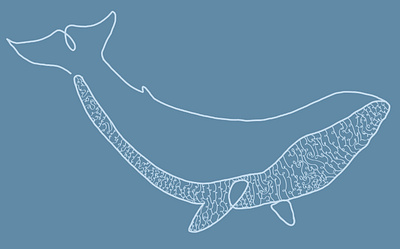 Sticker Whale Design