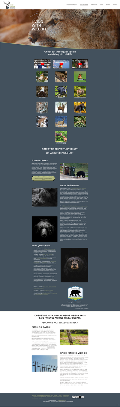 Wild Aware: Living With Wildlife branding responsive design ui ux web design website