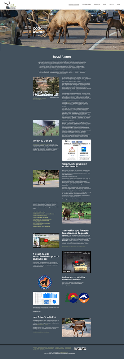 Wild Aware: Road Aware branding responsive design ui ux web design website