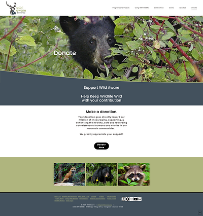 Wild Aware: Donate branding responsive design ui ux web design website