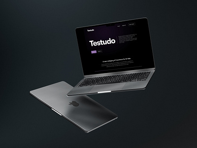 Testudo | Help businesses manage AI related risks. branding design insurance product design tech ui ux web website