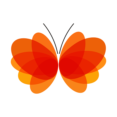 Butterfly art butterfly camaleon97 color digital illustration love mexican nature orange passion valeria