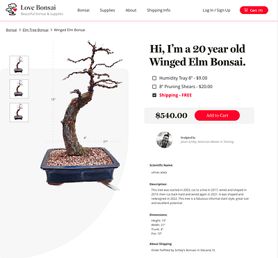 Bonsai Pottery Website bonsai website branding design graphic design plants website pottery website ui website