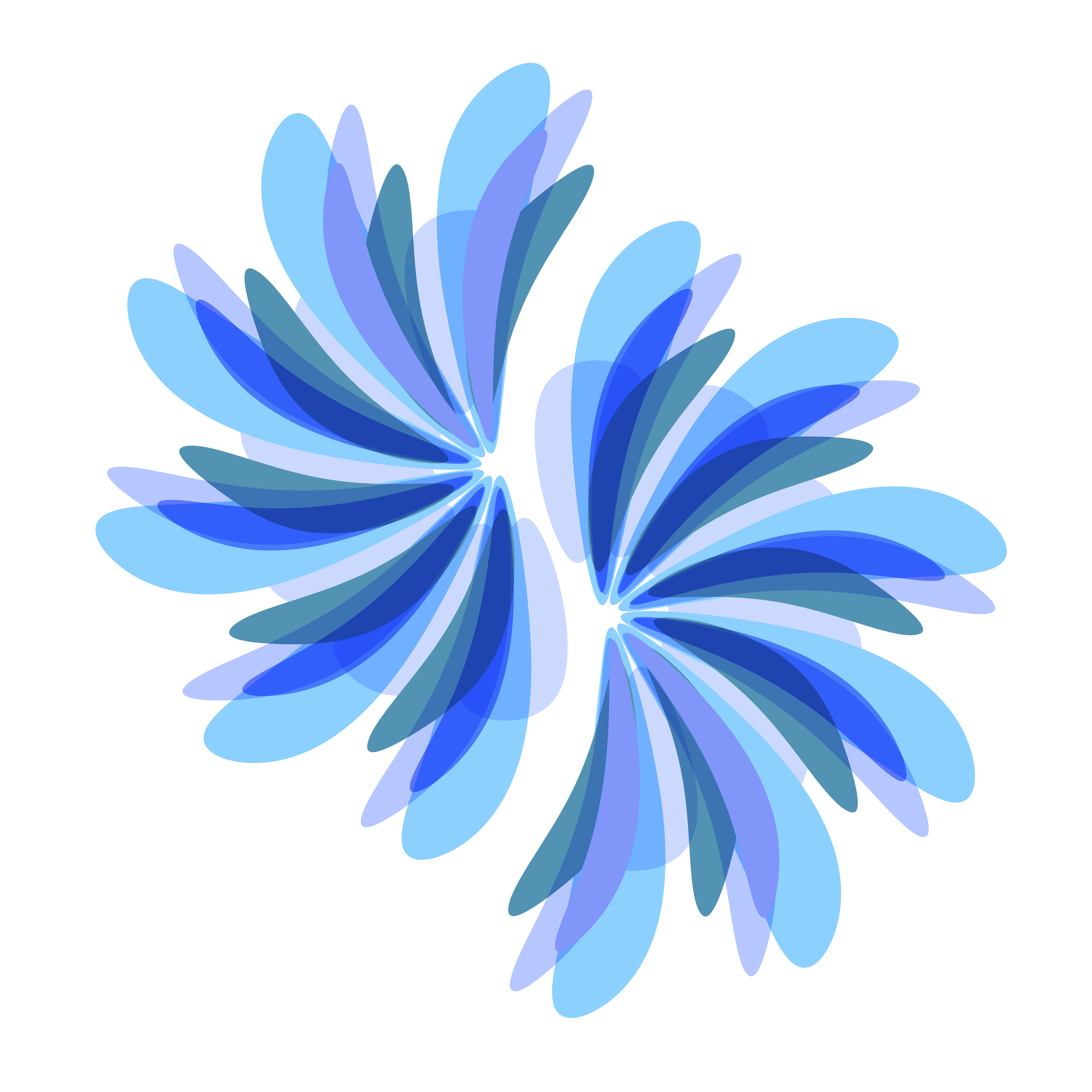 Peacock wings art blue camaleon97 concept illustration interiordesign mexico sea wings