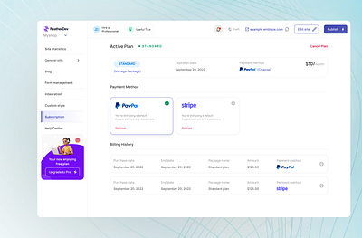 Dashboard Payment Methods UI active plan billing dashboard ui payment methods paypal plan software design standard statistics stripe subscription ui ux research web design