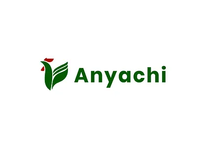Introducing the Anyachi Brand app branding design graphic design illustration logo typography ux vector