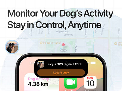 Dynamic Island for Pet-Tracking Apps 🐶📱 design dynamic islands pet tracking ui