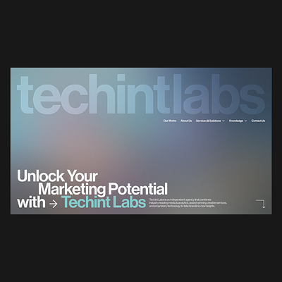 Techint Labs Website Highlights animation bachoodesign clean design desktop gradient helvetica hero interface marketing agency mobile slider testimonials typography ui website