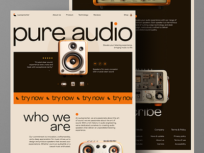 Audio Equipment Online Store Landing Page Website landing page webapp website