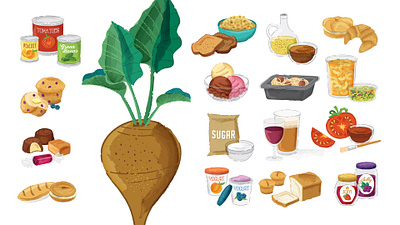 Food Illustration food illustration photoshop watercolor