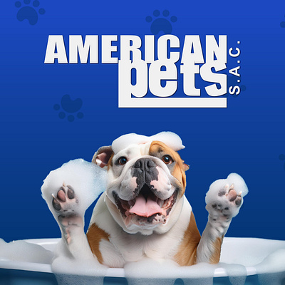 AMERICAN PETS - PORTADA diseño gatos graphic design logo mascotas perros post social media