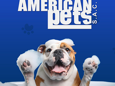 AMERICAN PETS - PORTADA diseño gatos graphic design logo mascotas perros post social media