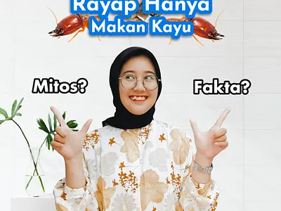 Past Control content graphic design hama rayap