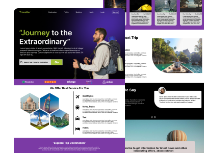 Traveller Website Design branding graphic design logo ui