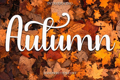 Autumn Font 3d animation app branding design graphic design illustration logo motion graphics typography ui ux vector