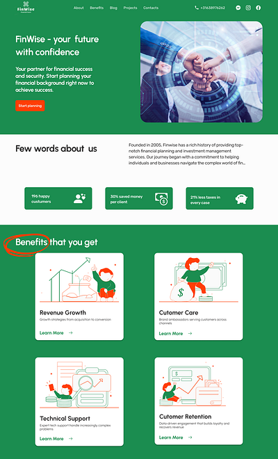 FinWise web site/landing page branding design graphic design illustration logo ui ux web design