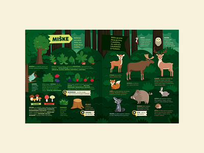 Children's encyclopedia. Forest animals childrens encyclopedia deer editorial design elk encyclopedia forest fox graphic design illustration leaves mushrooms nature owl vector woodpecker