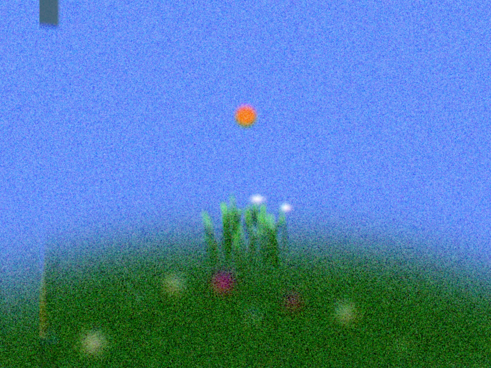 Example of Custom Motion Design Video Services