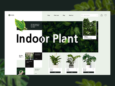 Online store for indoor plants design landing main page online store ui ux website