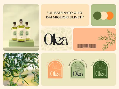 Olea branding & visual identity branding visual identity