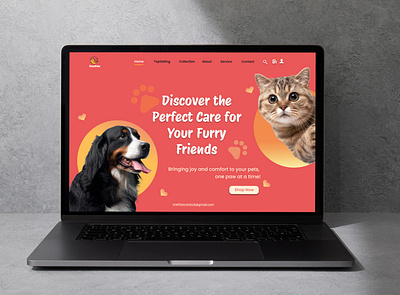 Pet Shop cute modern petshop ui ux webdesign