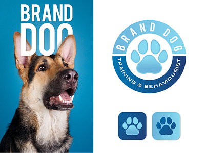 Brand Dog - Logo Identity Branding animal training brand branding client crypto custom logo design design designer dog freelance graphic design hire illustration logo logo trends 2024 minimalist modern paw design pet logo visual identity