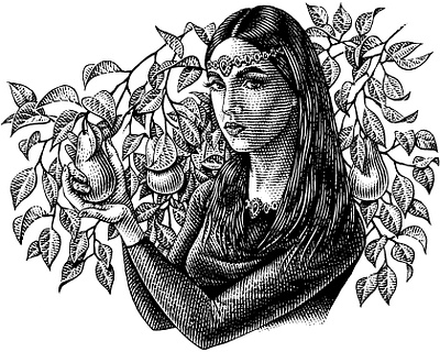 Lori pear black and white engraving garden girl illustration portrait scratchboard woodcut