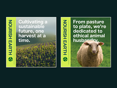 Nourish Earth Posters agric agriculture animal crop flyer graphic design ngo poster