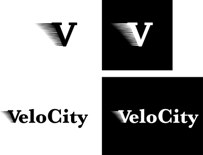 Velocity Logo logo