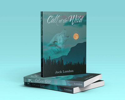 Book Cover Design adobe illustrator adobe photoshop book cover book cover design typography