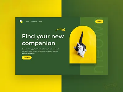 Header branding color colourtheme dribbble header heroheader logo productdesign ui uiux uiuxdesigner ux webdesigner website