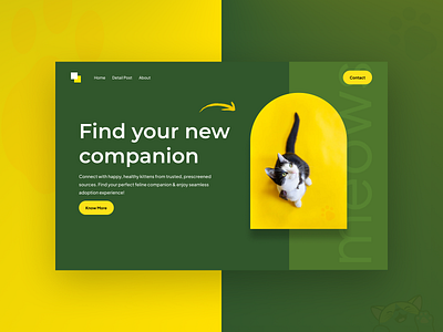 Header branding color colourtheme dribbble header heroheader logo productdesign ui uiux uiuxdesigner ux webdesigner website