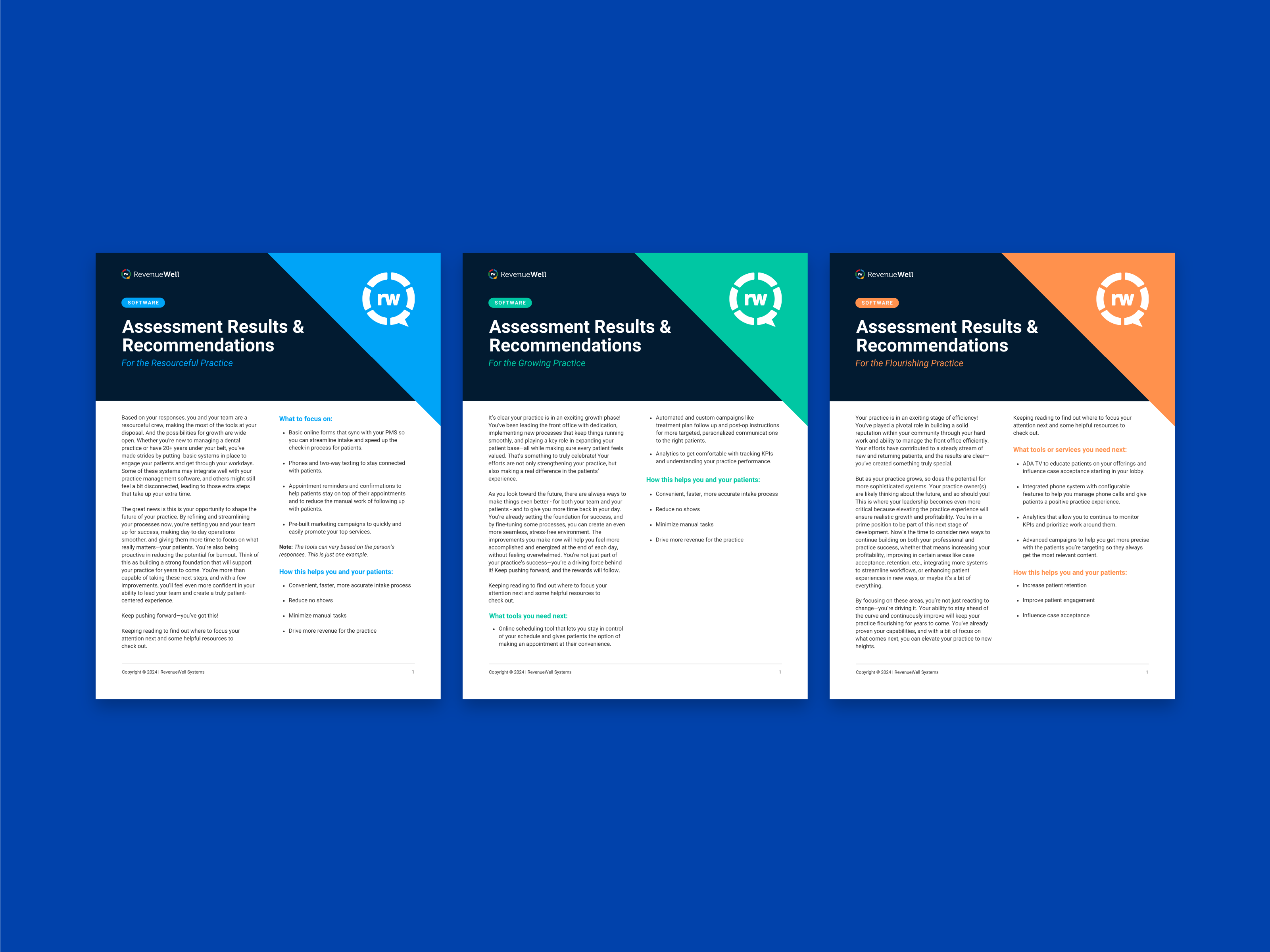 Software Assessment Multi-pagers assessment branding dental dental marketing dental software dentistry design graphic design grid layout design logo print print design software software marketing typography