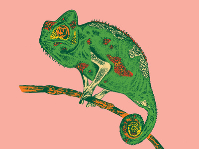 Chameleon Illustration animal chameleon drawing hand drawn illustration illustration art illustrator lizard reptile tropical