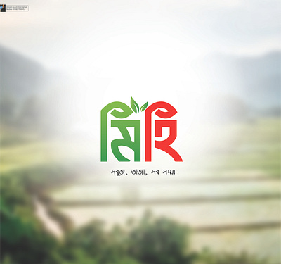 মিহি/mihi. 3d animation bangla bangla logo branding design food logo graphic design illustration logo motion graphics organic logo typo ui vector