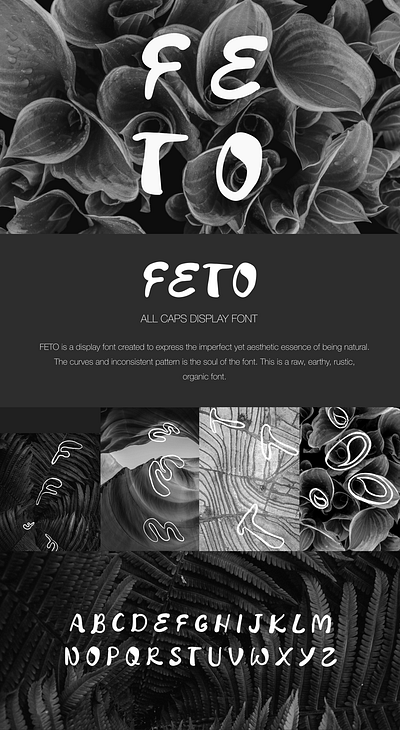 Custom Typography - Feto Display font design display font font fontdesign nature typedesign typeface typo typography